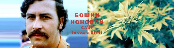 марихуана Белокуриха